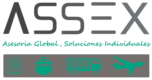 Asesorías en Exportaciones e Importaciones 